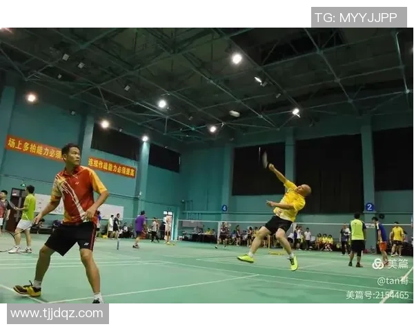 陈娜专访：回顾羽毛球历程